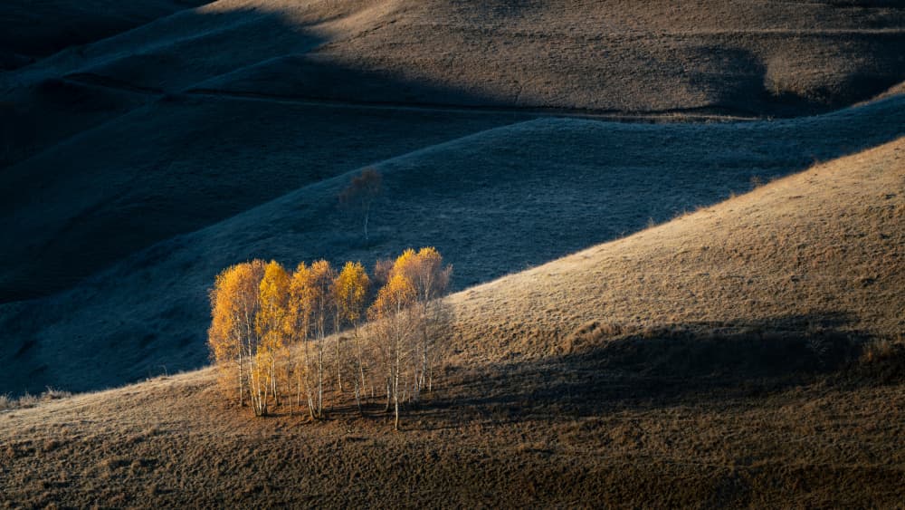 Autumn Hills Golden Trees by Haim Rosenfeld — canvas wall art