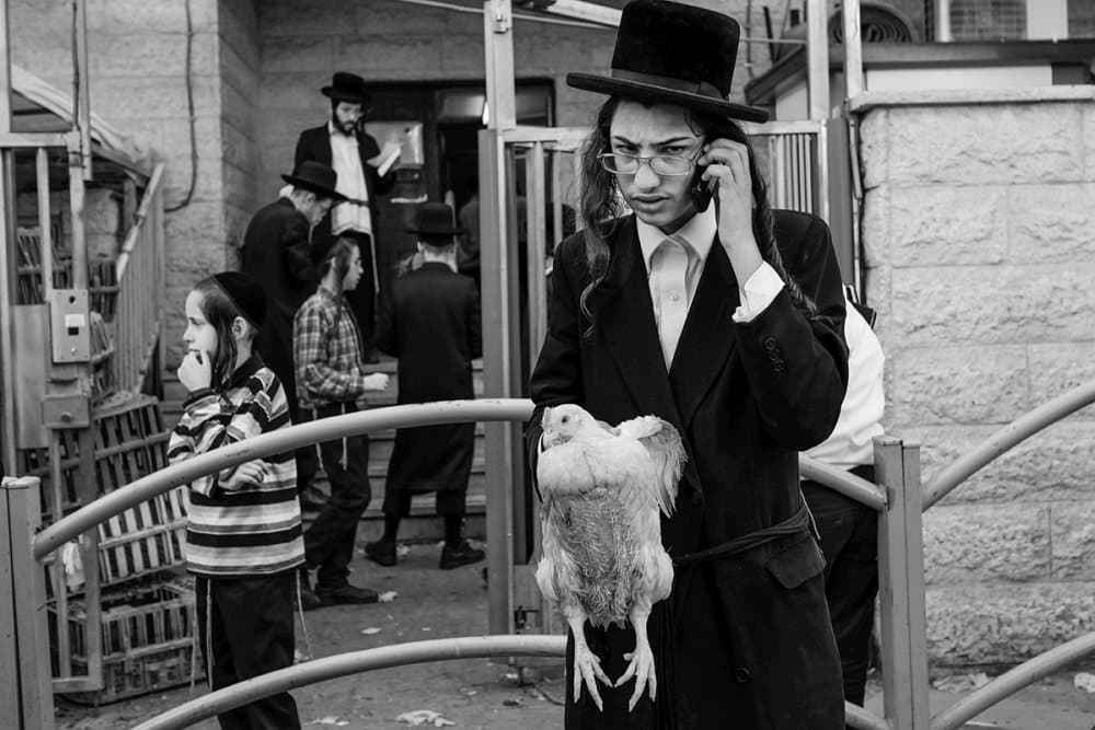 Hasidic Man Phone Chicken by Orna Naor — canvas wall art