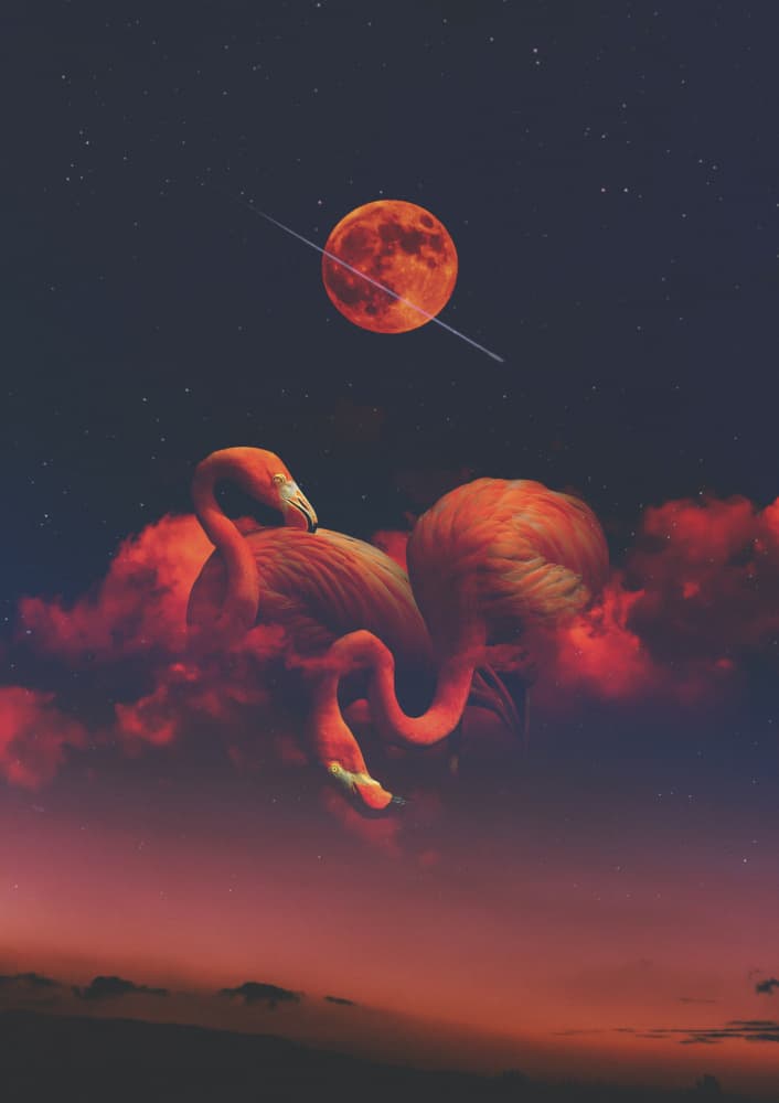 Red Moon Flamingos by Paste in Place — canvas wall art