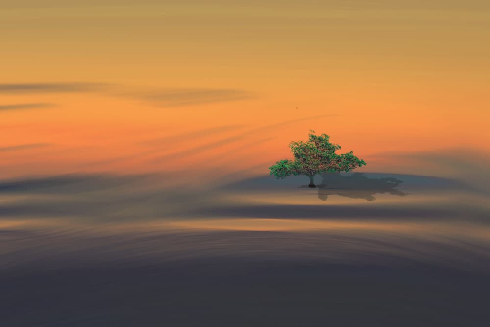 Lone Tree Sunset by Barbara Zielinska — canvas wall art