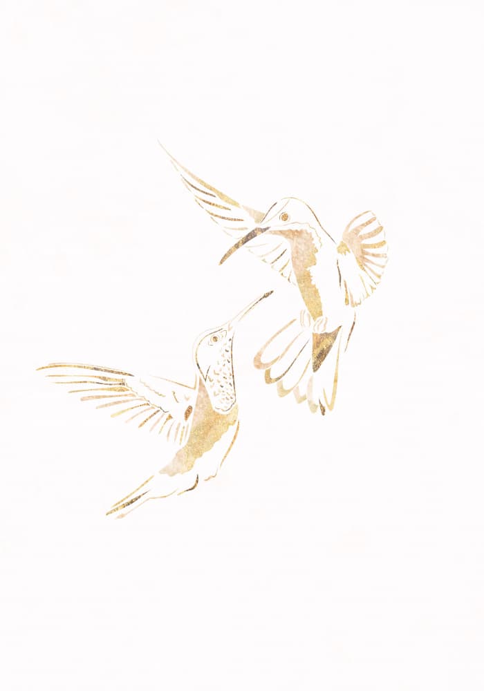Golden Hummingbirds Flight by Sarah Manovski — canvas wall art