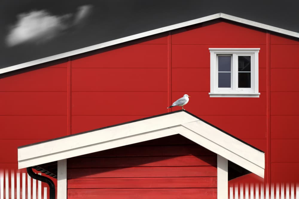 Seagull On Red House by Hans-Wolfgang Hawerkamp — canvas wall art