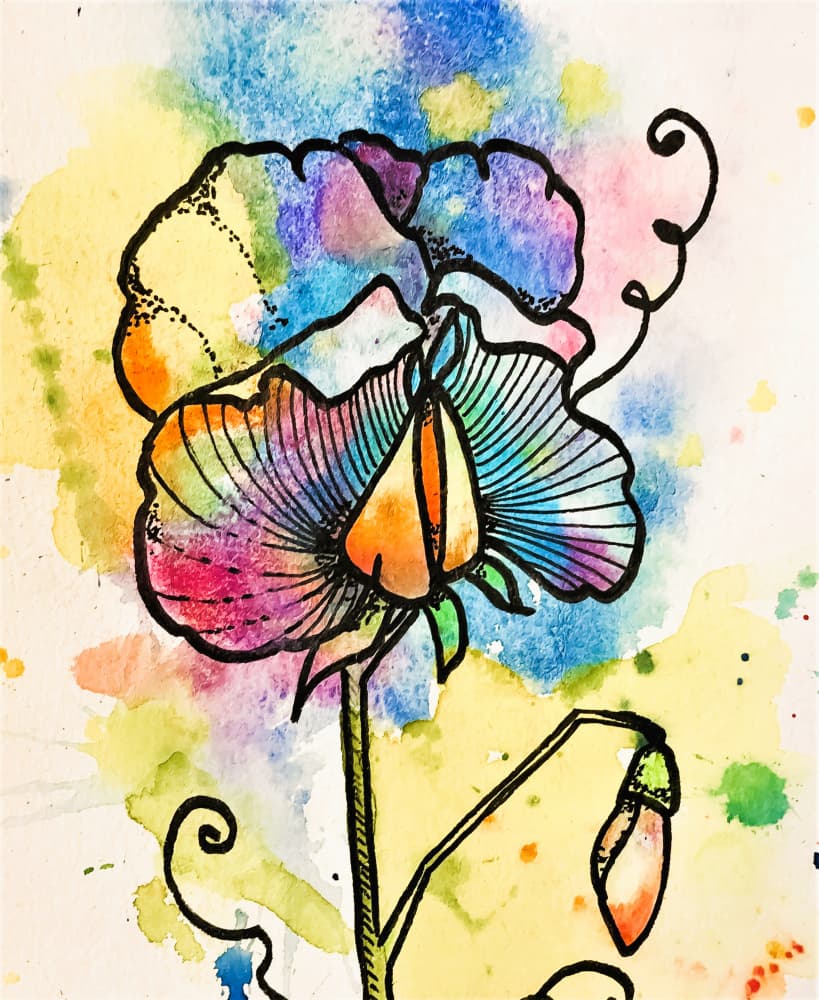 Vibrant Sweet Pea Bloom by Anda Bieza — canvas wall art