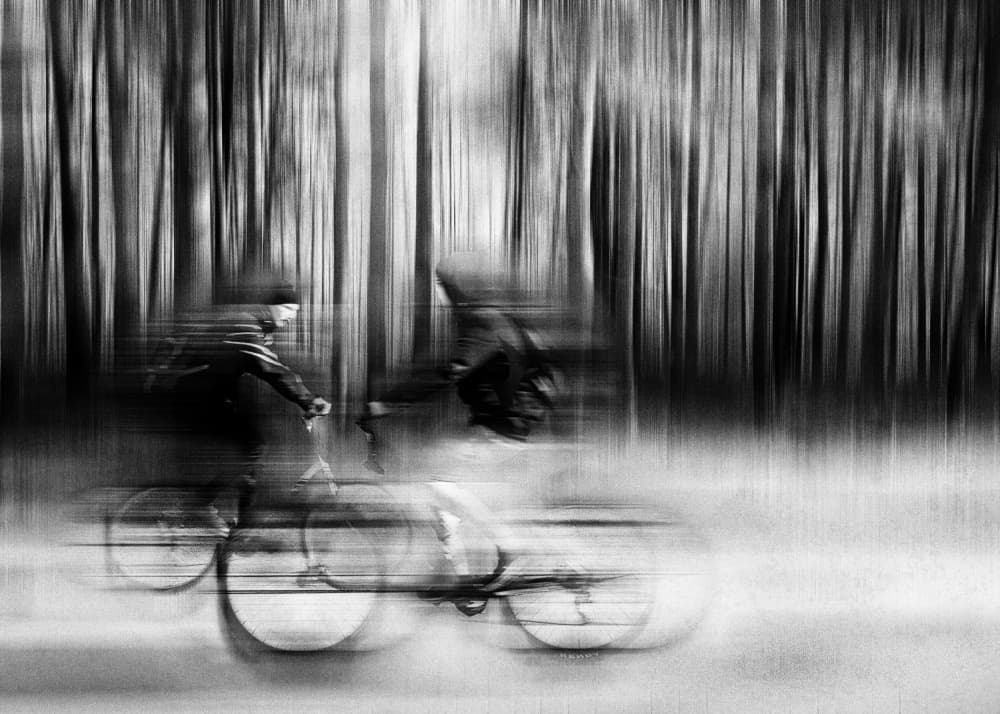Dynamic Forest Cycling by Normunds Kaprano — canvas wall art