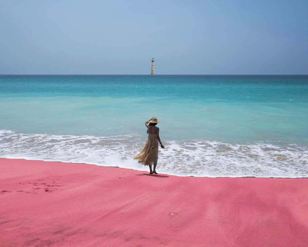 Pink Sand Turquoise Ocean by Susnata Majumder — canvas wall art