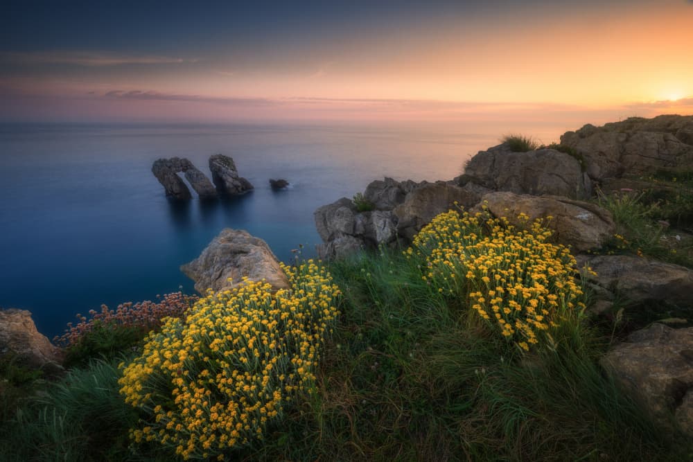 Clifftop Flowers Sea Arches by Adam Pachula — canvas wall art