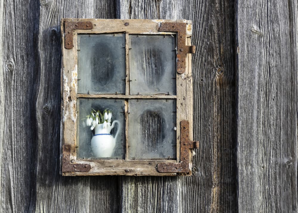 Rustic Snowdrop Window by Normunds Kaprano — canvas wall art