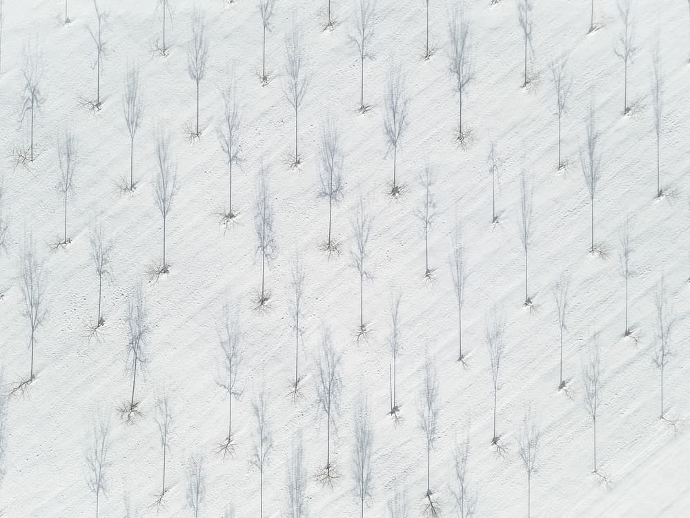 Winter Field Shadows by Rainer Inderst — canvas wall art