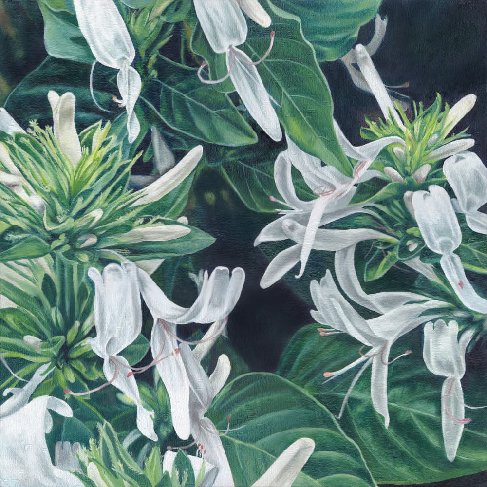 Elegant White Flowers by Viccy Wanliss — canvas wall art