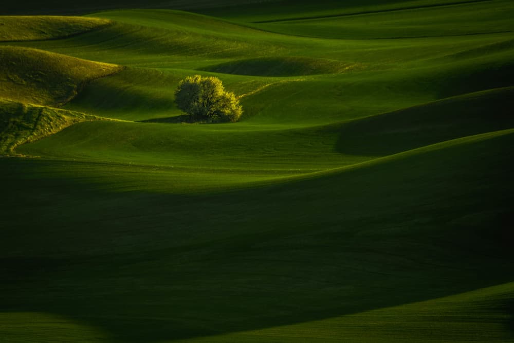 Rolling Green Hills by Xiaoyuan Xu — canvas wall art