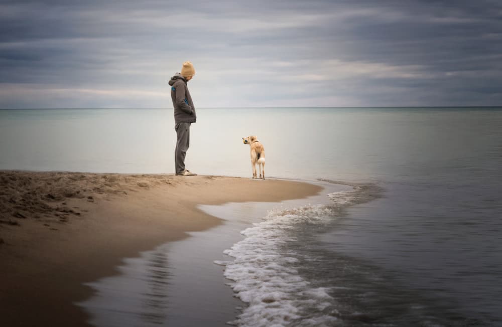 Quiet Beach Companions by Jennifer Chen APA — canvas wall art