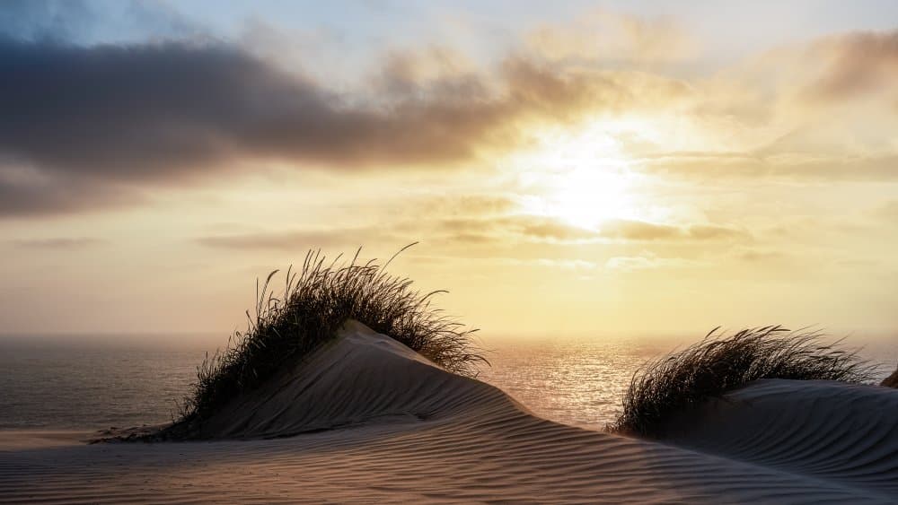 Golden Dune Sunset by Christiane Heggemann — canvas wall art