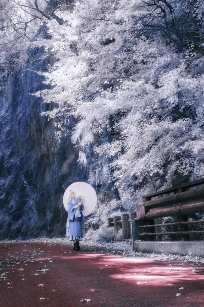 Ethereal Winter Path by KOIKI — canvas wall art