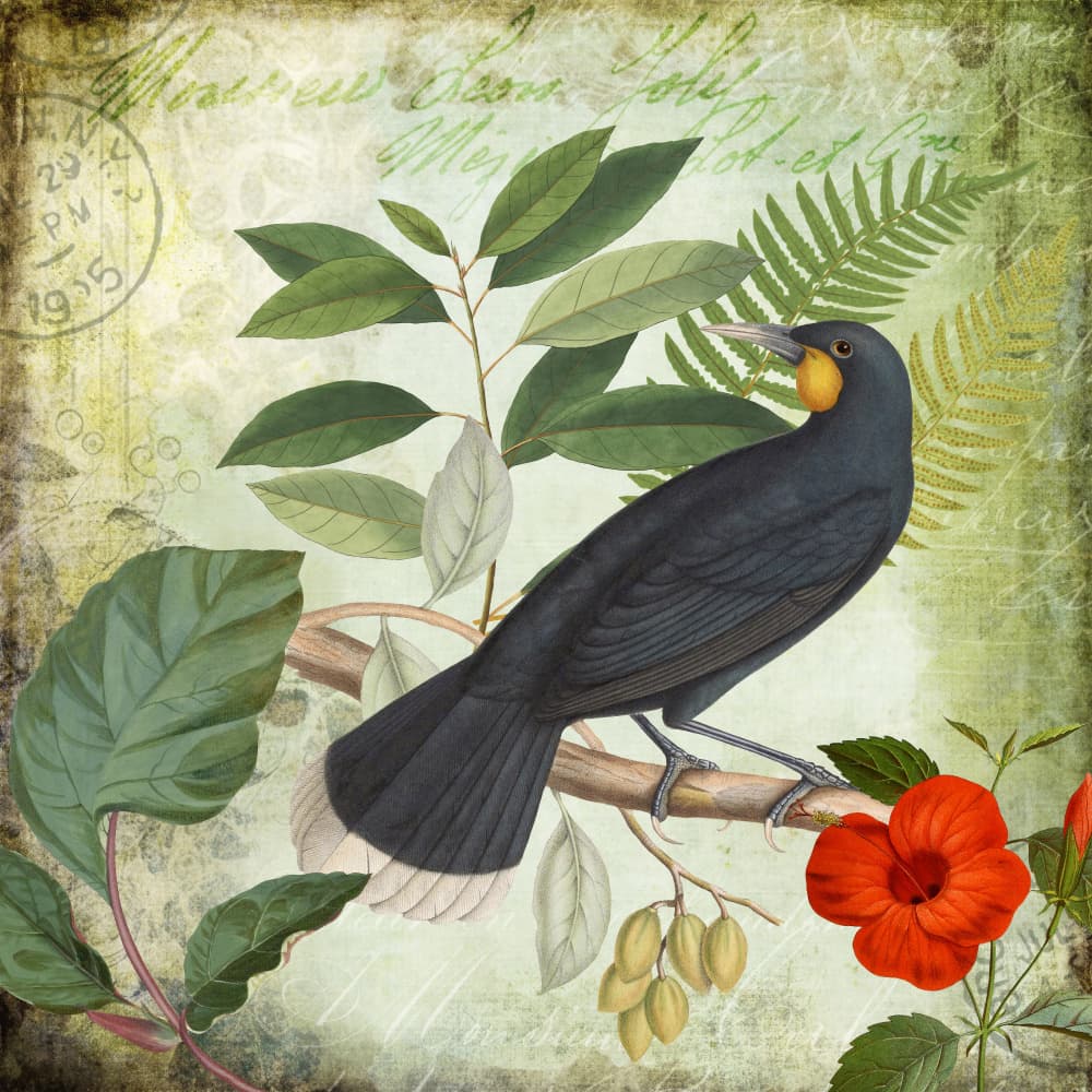 Vintage Tropical Bird by Andrea Haase — canvas wall art