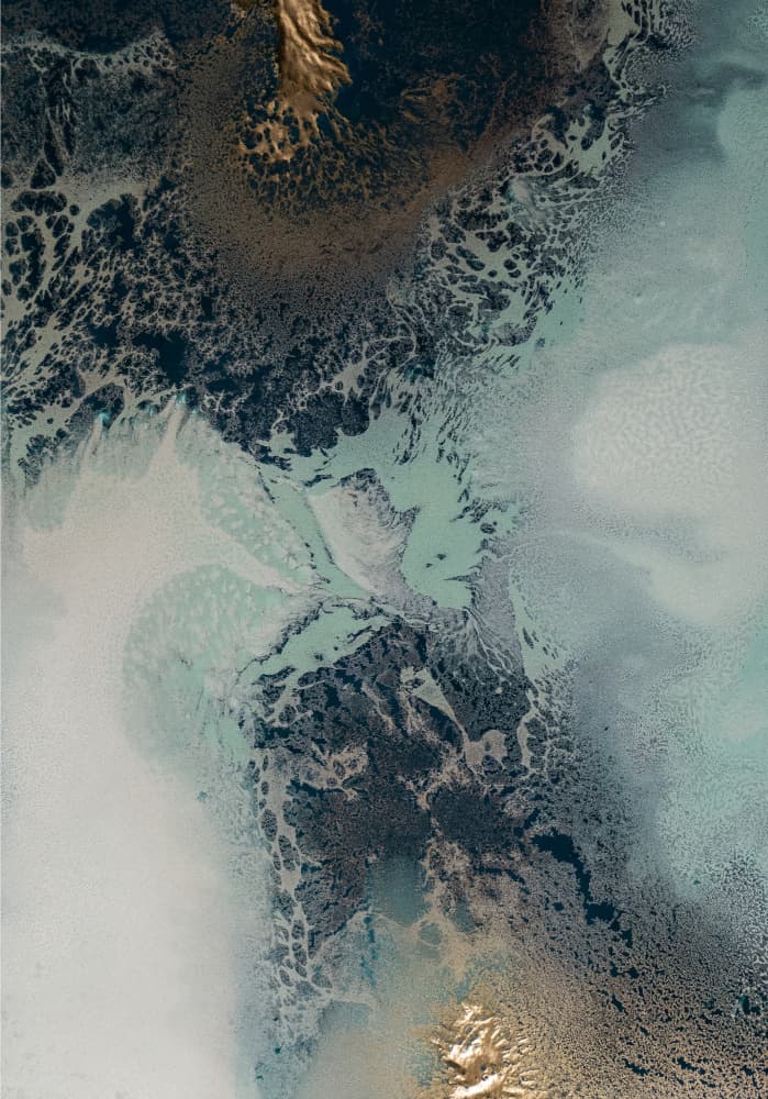 Transition by Petra Meikle de Vlas — canvas wall art