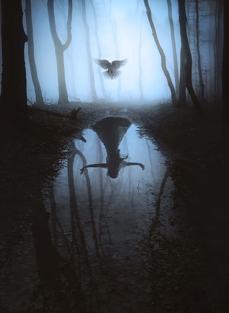 Ethereal Forest Reflection by Terry F — canvas wall art