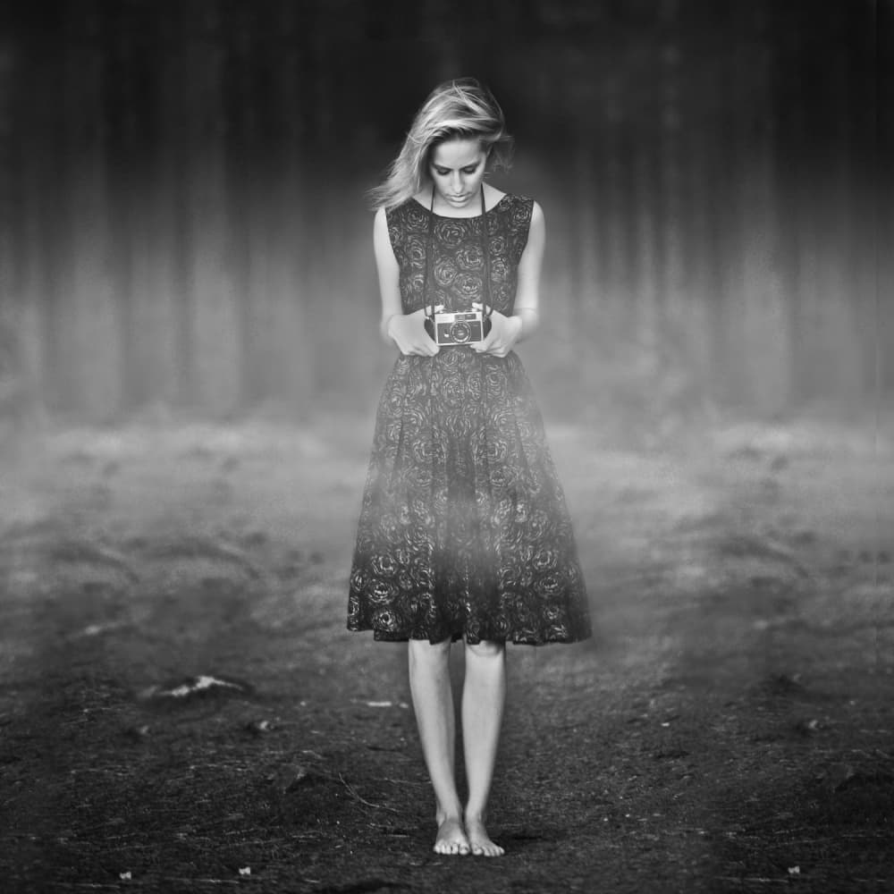 Misty Forest Photographer by Lars Hur — canvas wall art