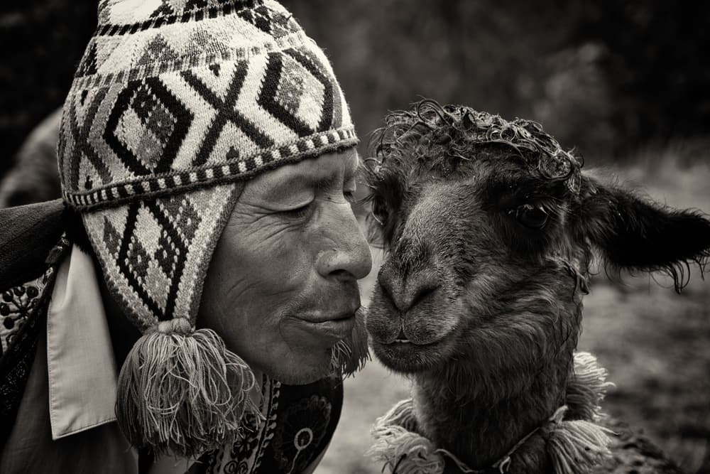 Andean Man Llama Bond by Jaap Koer — canvas wall art
