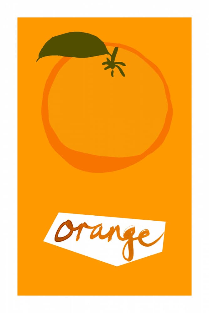 Fresh Orange Drawing by cartissi — canvas wall art