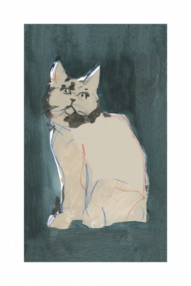Curious Cat Gaze by cartissi — canvas wall art