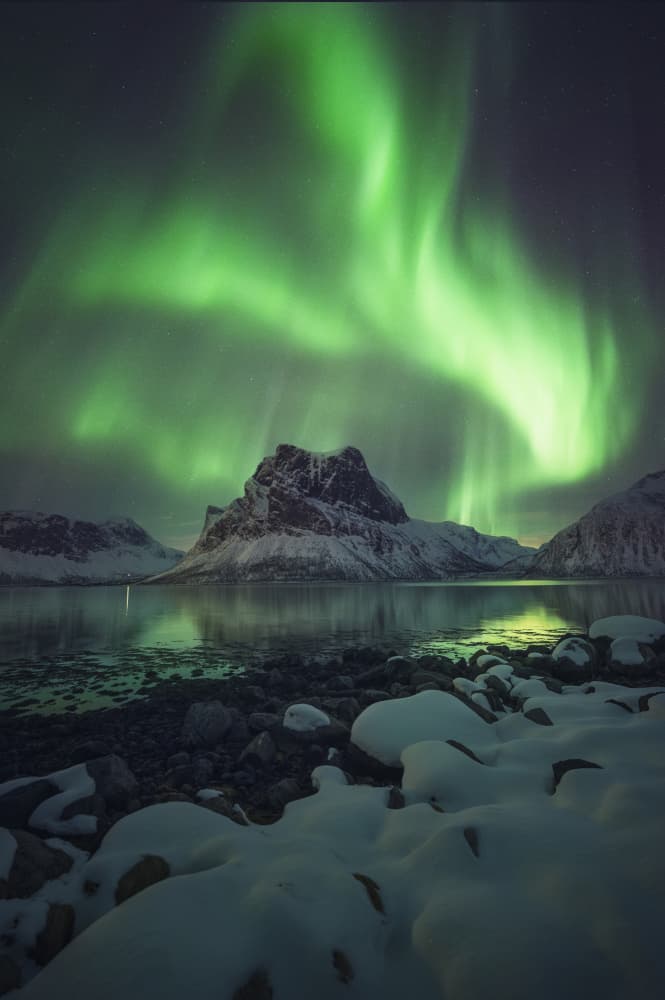 Green Aurora Winter Night by David Martin Castan — canvas wall art