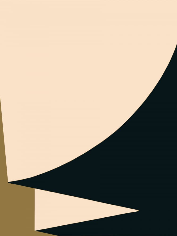 Elegant Abstract Shapes by Little Dean — canvas wall art