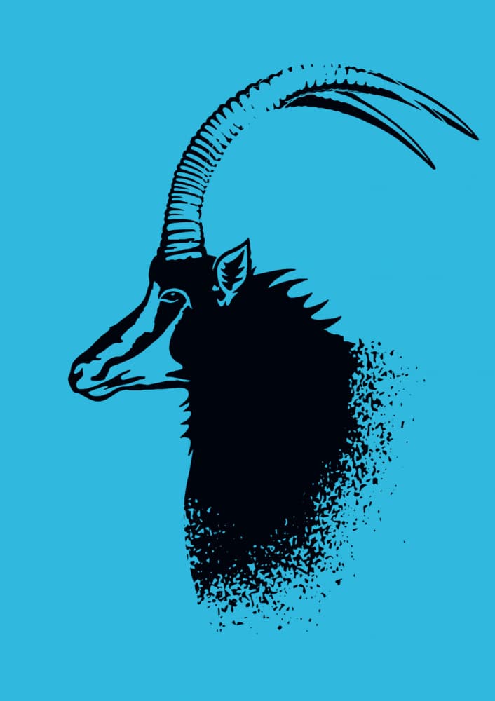 Sable Antelope Silhouette by Carlo Kaminski — canvas wall art