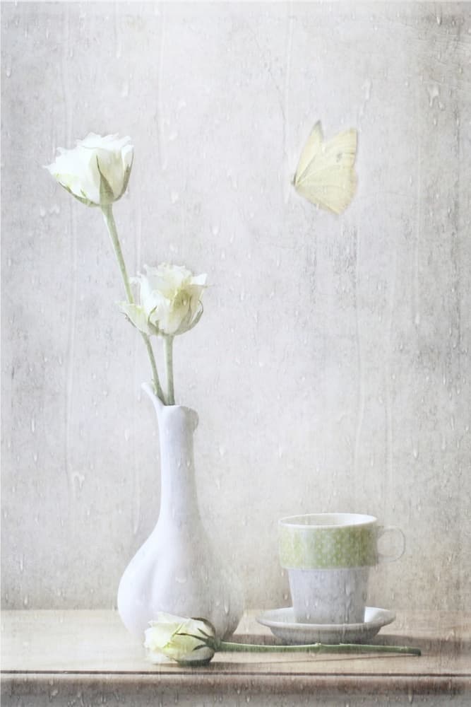 Delicate Roses and Butterfly by Delphine Devos — canvas wall art