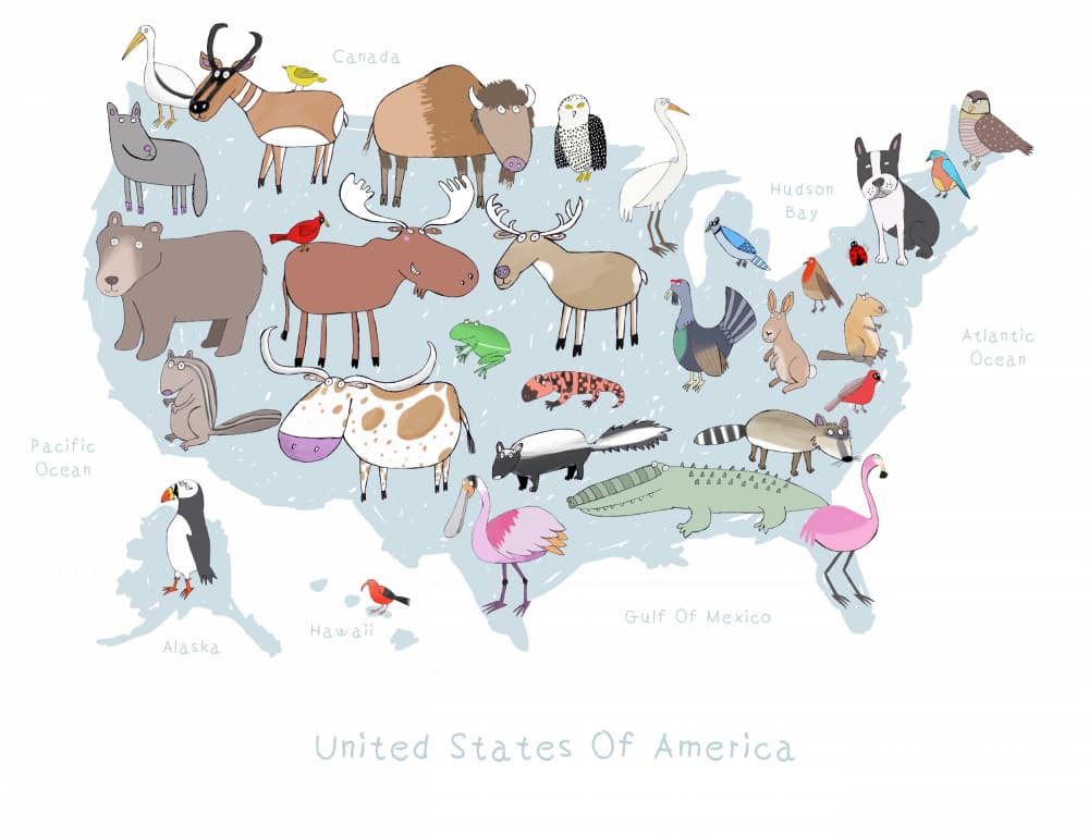 USA Wildlife Map by Carla Daly — canvas wall art