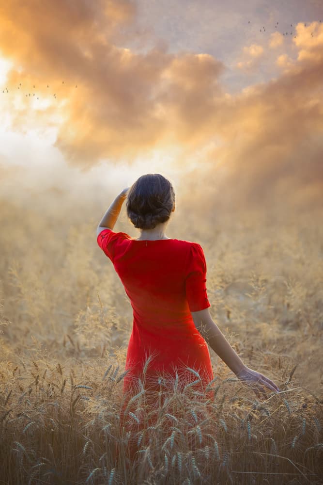 Woman In Golden Field by Ildiko Neer — canvas wall art