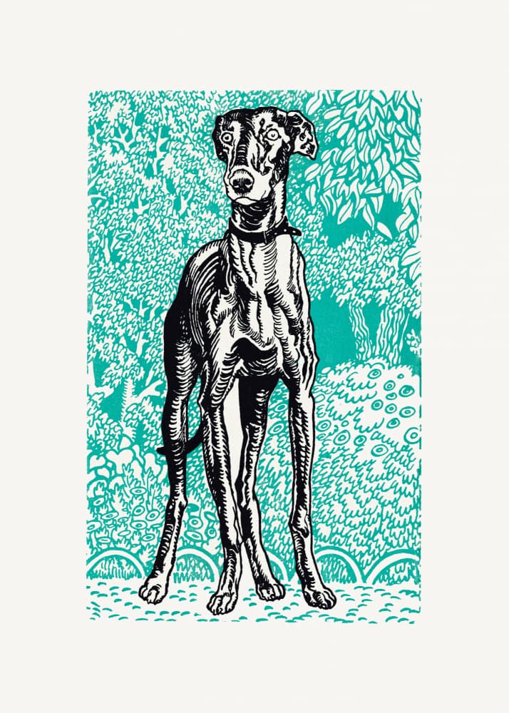 Greyhound by Moriz Jung — canvas wall art