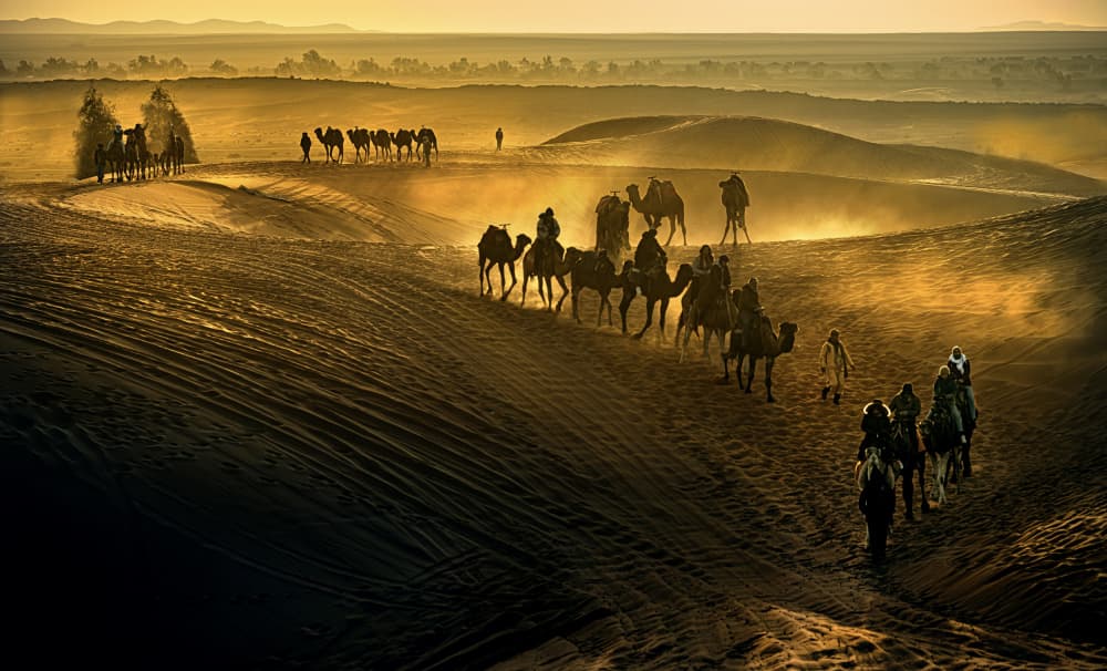 Golden Desert Caravan by Waldemar Szmidt — canvas wall art