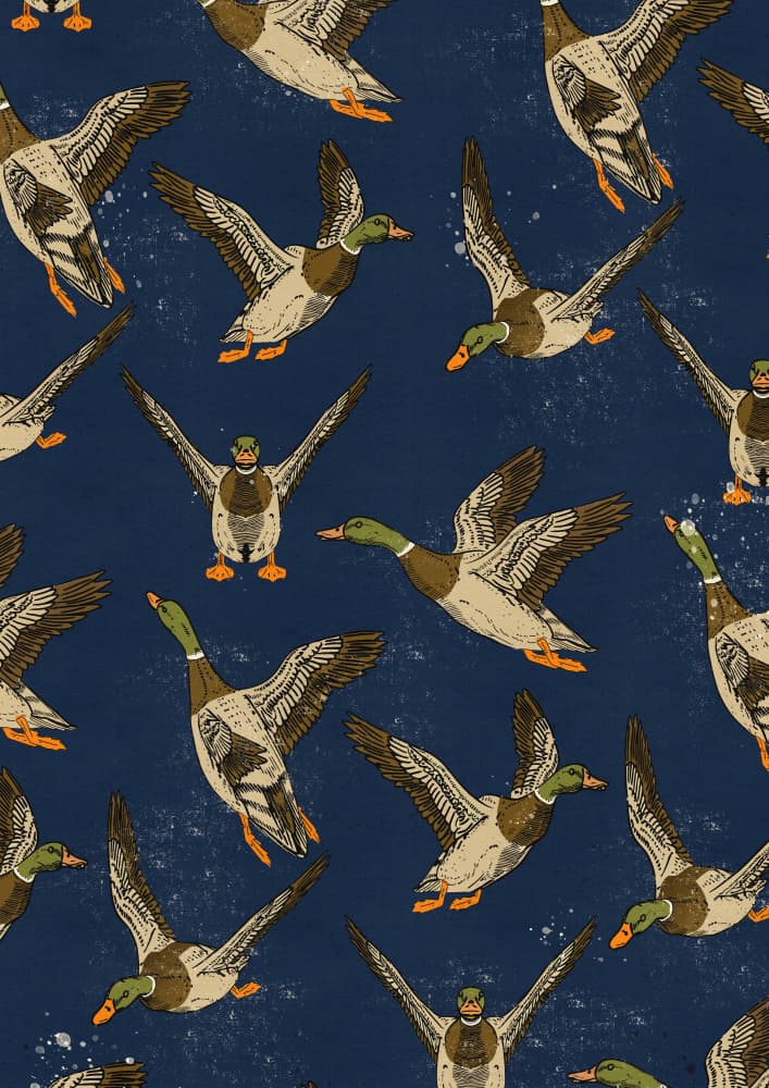 Mallard Flight Pattern by Nicholas — canvas wall art