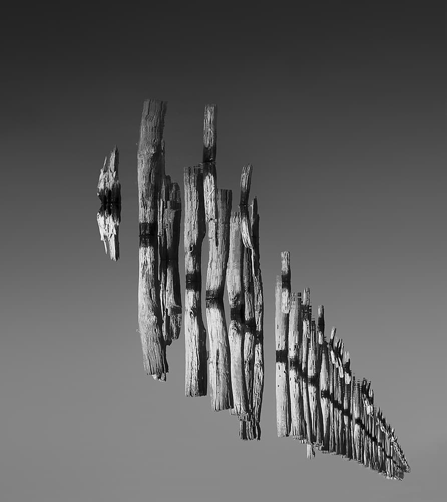 Abstract Wood Pilings by Zhecho Planinski — canvas wall art