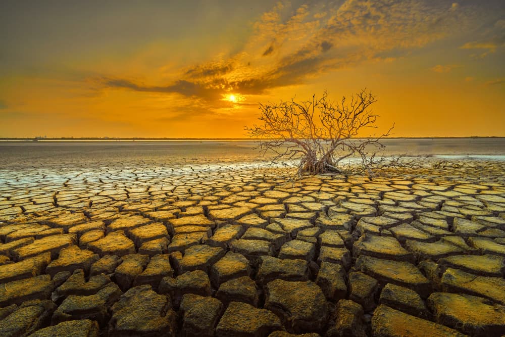 Cracked Earth Sunset by MingLun Tsai (蔡明倫) — canvas wall art