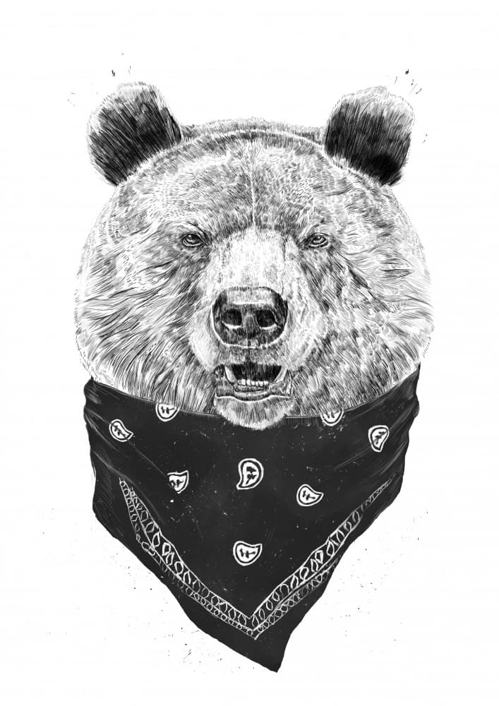Grizzly Bear Bandana by Balazs Solti — canvas wall art