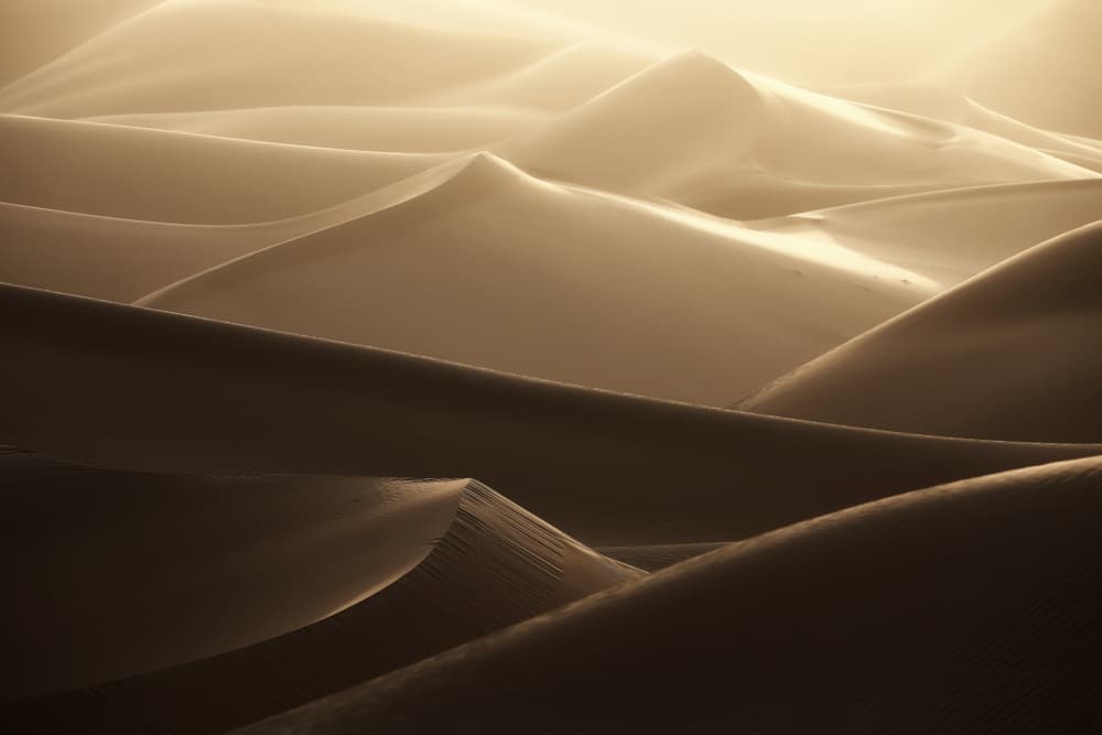 Golden Desert Dunes by Judith Kuhn — canvas wall art