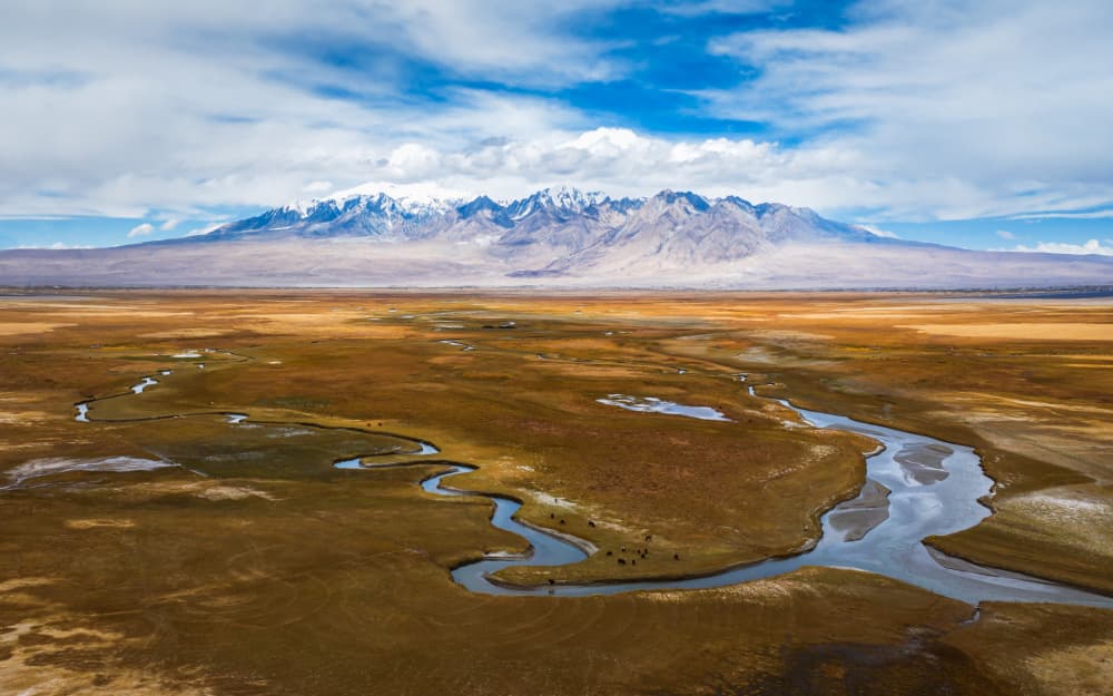 Winding River Mountain Valley by Irene Wu — canvas wall art