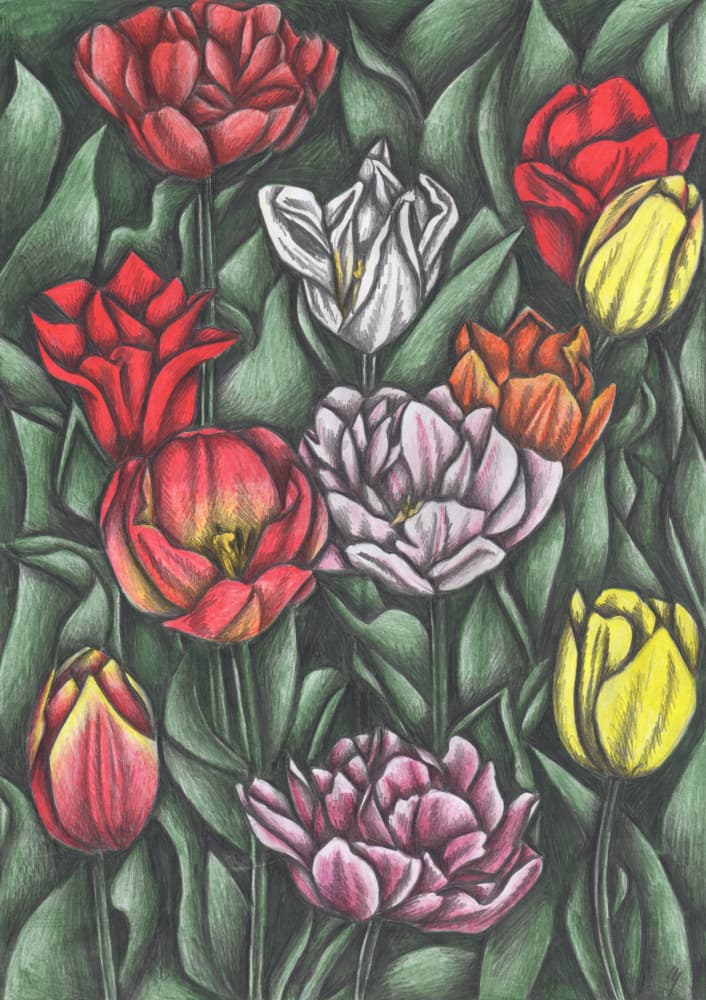 Colorful Spring Tulips by Cecilia Battaini — canvas wall art