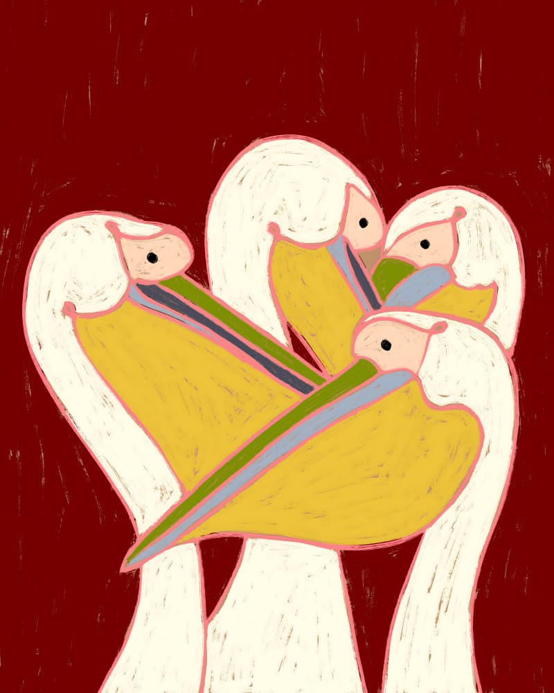 Colorful Pelican Flock by Uma Gokhale — canvas wall art