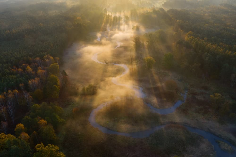 Sunlit River Through Fog by Tomasz Rojek — canvas wall art