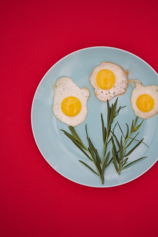 Egg Flower Breakfast by Sarah Saratonina — canvas wall art