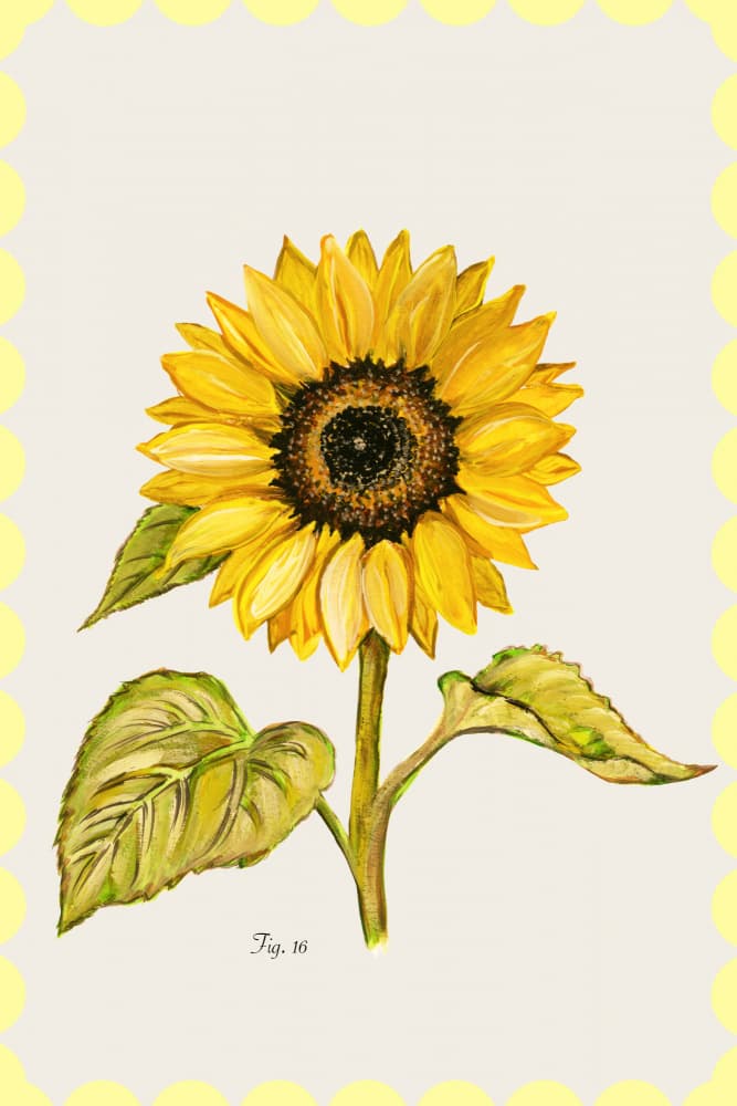 Golden Sunflower Botanical by cartissi — canvas wall art