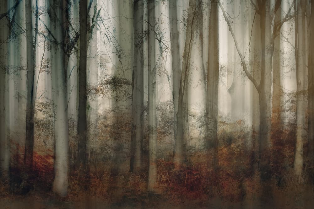 Untitled by Nel Talen — canvas wall art