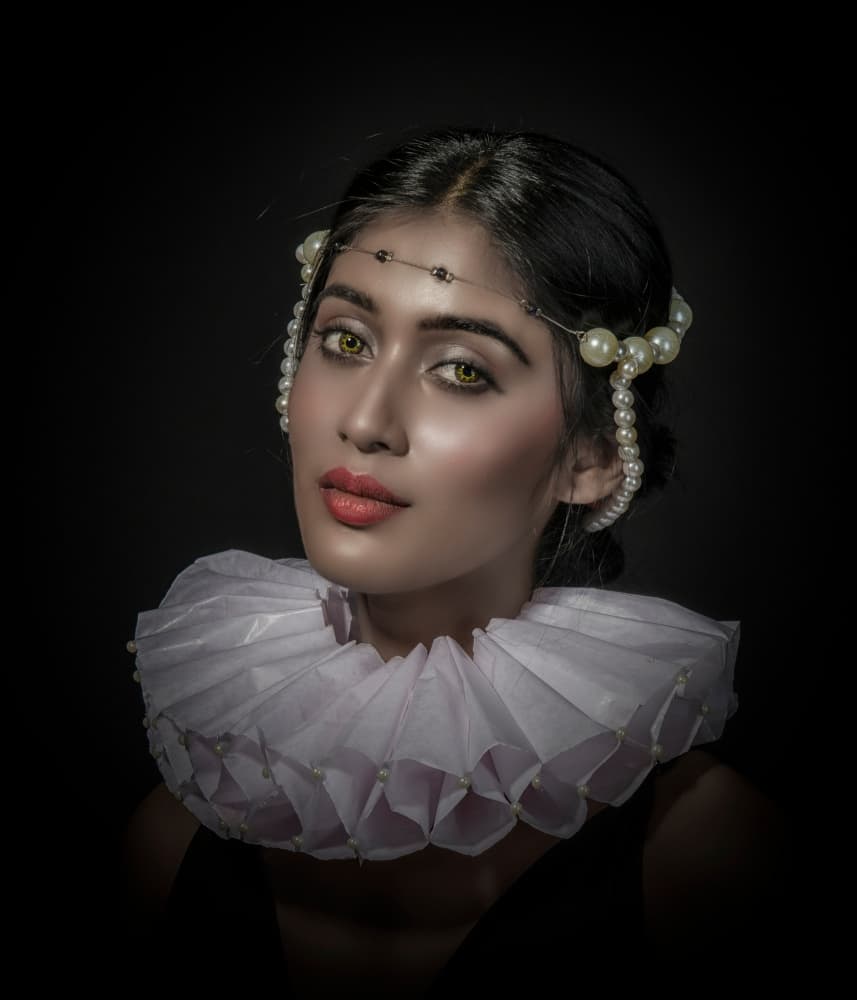 Renaissance Woman Portrait by PARTHA BHATTACHARYYA — canvas wall art
