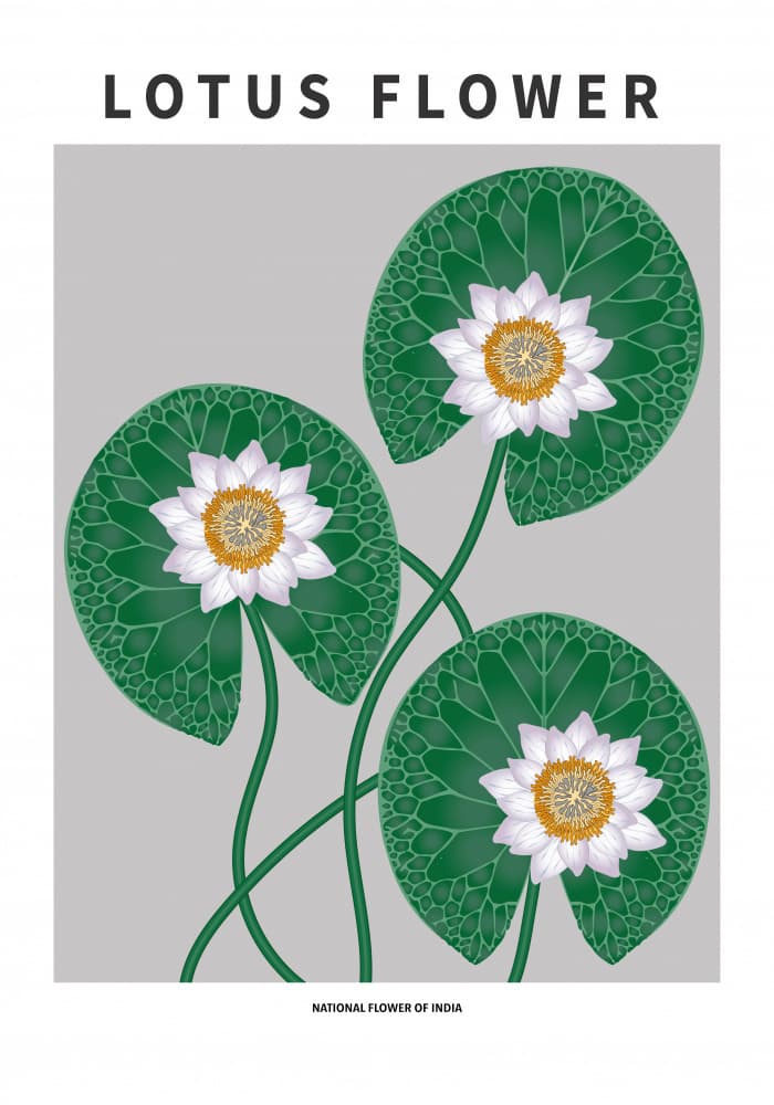 White Lotus Flowers by Paperago — canvas wall art