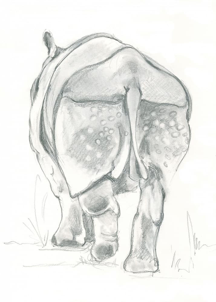 Rhino's Gentle Stride by Isabelle Brent — canvas wall art