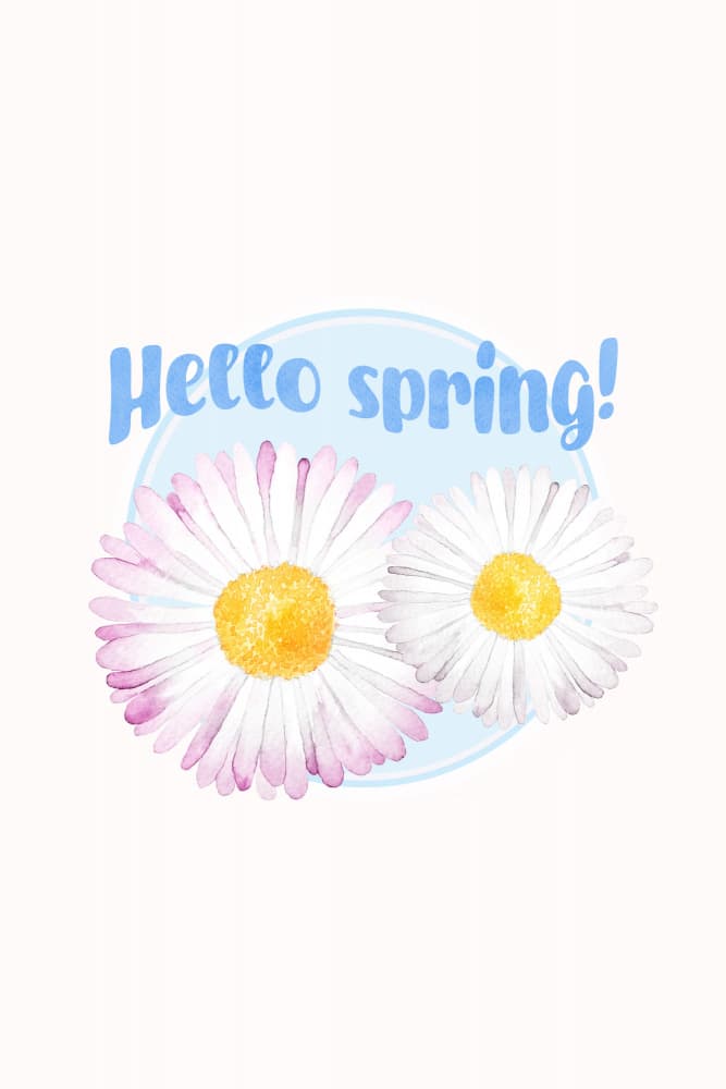 Hello Spring Blooms by Karen Menzenbach — canvas wall art