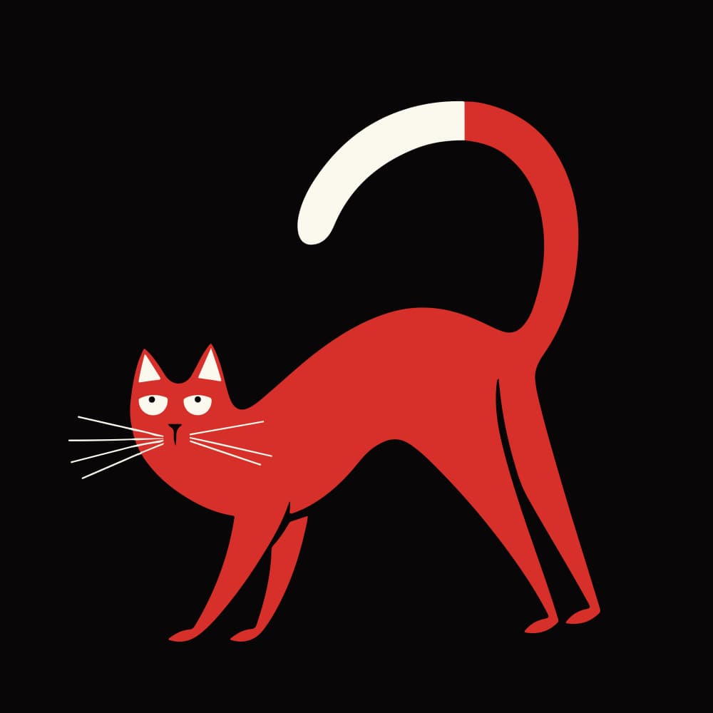 Playful Red Cat by Andreas Magnusson — canvas wall art