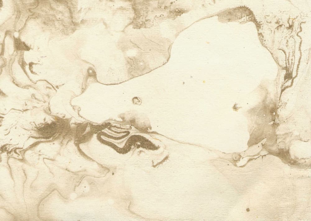Fluid Sepia Swirls by Santhosh ch — canvas wall art